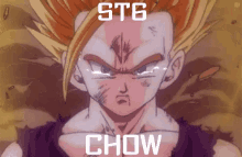 st6-chow.gif