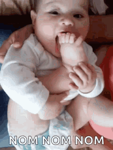 Biscuit Eaters GIF - Biscuit Eaters Baby GIFs