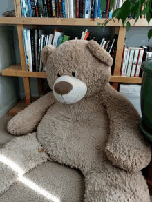 Guess What Teddy Bear GIF - Guess What Teddy Bear Stuffed Toy GIFs