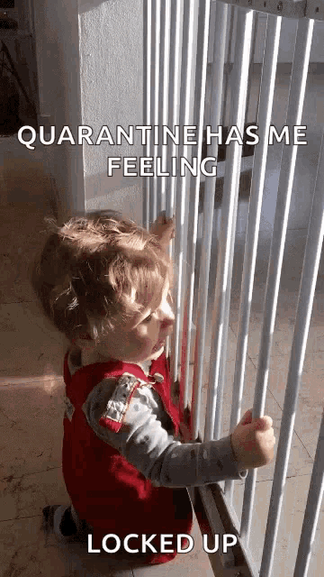 Quarantine Locked Up GIF - Quarantine Locked Up Cute GIFs