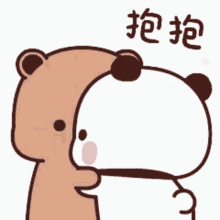 Panda Bear GIF - Panda Bear GIFs