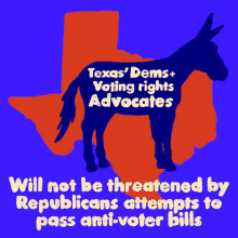 Texas Dems Voting Rights Advocate Will Not Be Threatened GIF - Texas Dems Voting Rights Advocate Will Not Be Threatened Texas Dems GIFs