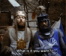 What Now What Do Uou Want GIF - What Now What Do Uou Want King Arthur GIFs