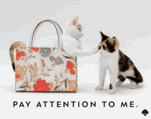 Pay Attention To Me Cats GIF - Pay Attention To Me Cats Kittens GIFs
