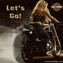 Harley Davidson Motorcycle GIF - Harley Davidson Motorcycle Lets Go GIFs
