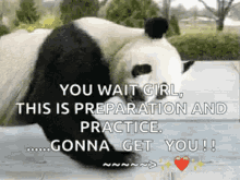 panda push up healthy exercise heart