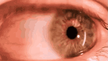 Ojo Mirando GIF - Eye Pupils Move GIFs