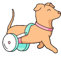 Wheelchair Dog Running Sticker - Wheelchair Dog Wheelchair Dog Stickers