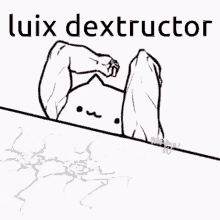 meme cat