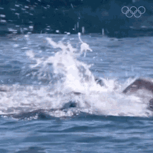 Freestyle swimming olympics gif freestyle swimming olympics swimming