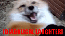 Diabolical Laughter GIF - Diabolical Laughter Fox GIFs
