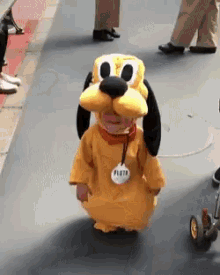 Disney Pluto GIF - Disney Pluto Disneyland GIFs