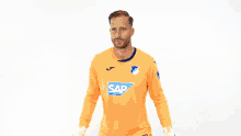 Oliver Baumann Tsg Hoffenheim GIF - Oliver Baumann Tsg Hoffenheim Fußball GIFs