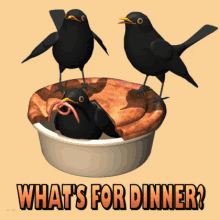 whats for dinner blackbirds in a pie 3d gifs artist five and twenty blackbirds