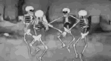Skeleton Dancing GIF - Skeleton Dancing Cartoon GIFs