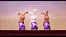 Sing Dance GIF - Sing Dance Rabbit GIFs
