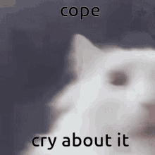 Cope Cry About It GIF - Cope Cry About It Seethe GIFs