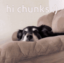 Chunks Hi Chunks GIF - Chunks Hi Chunks Cinder GIFs