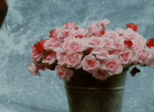 kicking kicking the bucket flowers pail roses