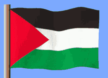 Filistin Pales GIF - Filistin Pales Palestine Flag GIFs