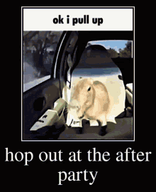 Capybara Ok I Pull Up GIF - Capybara Ok I Pull Up Hop Out At Theafter Party GIFs