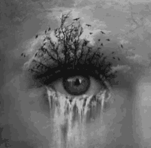 Crying Eye GIF - Crying Eye GIFs