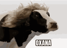Oxana GIF - Oxana GIFs