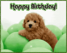 Hbd Happy Birthday GIF - Hbd Happy Birthday Puppy GIFs