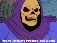 Skeletor Youve Tried My Patience You Witch GIF - Skeletor Youve Tried My Patience You Witch Youve Tried My Patience GIFs