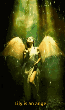 angel angel