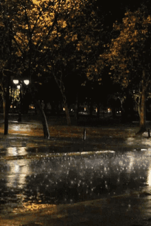 Lluvia Raining GIF - Lluvia Raining Night Right GIFs
