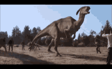 dinosaur jurassic park fail trip