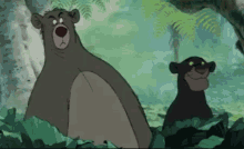 The Jungle Book Baloo GIF - The Jungle Book Baloo Suspicious GIFs