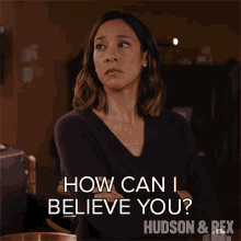 How Can I Believe You Sarah Truong GIF - How Can I Believe You Sarah Truong Hudson And Rex GIFs