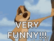 Sarcasm Timone GIF - Sarcasm Timone Lion King GIFs