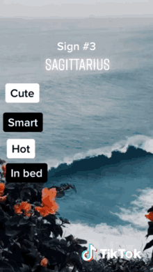 Sagittarius Zodiac Sign GIF - Sagittarius Zodiac Sign Cute GIFs