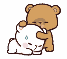 cute bear milk and mocha shaking head massage