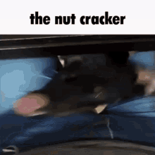 The Nut Cracker GIF - The Nut Cracker GIFs