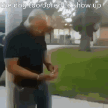 What The Dog Doin What Is The Dog Doing GIF - What The Dog Doin What Is The Dog Doing What The Dog Doing GIFs