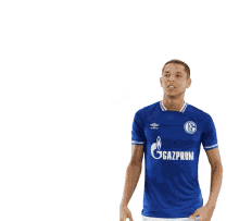 schalke04 s04 schalke schalker leben schalke04 s04 schalke schalker leben