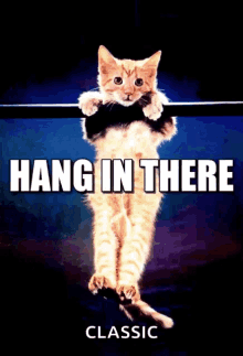 Hang In There Meme