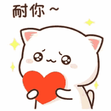 love you cute cat mochi
