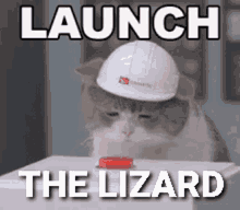 Launch The Lizard Dungeons Lizard GIF - Launch The Lizard Dungeons Lizard GIFs