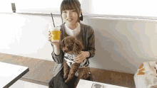 drink cute dog dog cafe togimochi korea