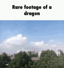 Dragon Rare GIF - Dragon Rare Rare Dragon GIFs