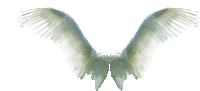 Angel Wings White Sticker - Angel Wings White Flying Stickers