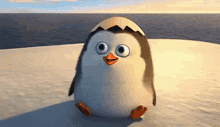 Cute Animals GIF - Cute Animals Penguin GIFs