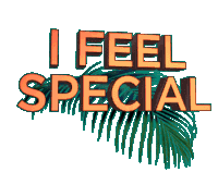 I Feel Special Temptation Island Sticker - I Feel Special Special Temptation Island Stickers