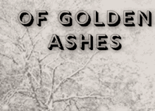 Ash Gold GIF - Ash Gold GIFs