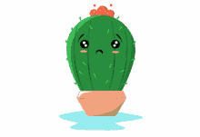 cactus crying